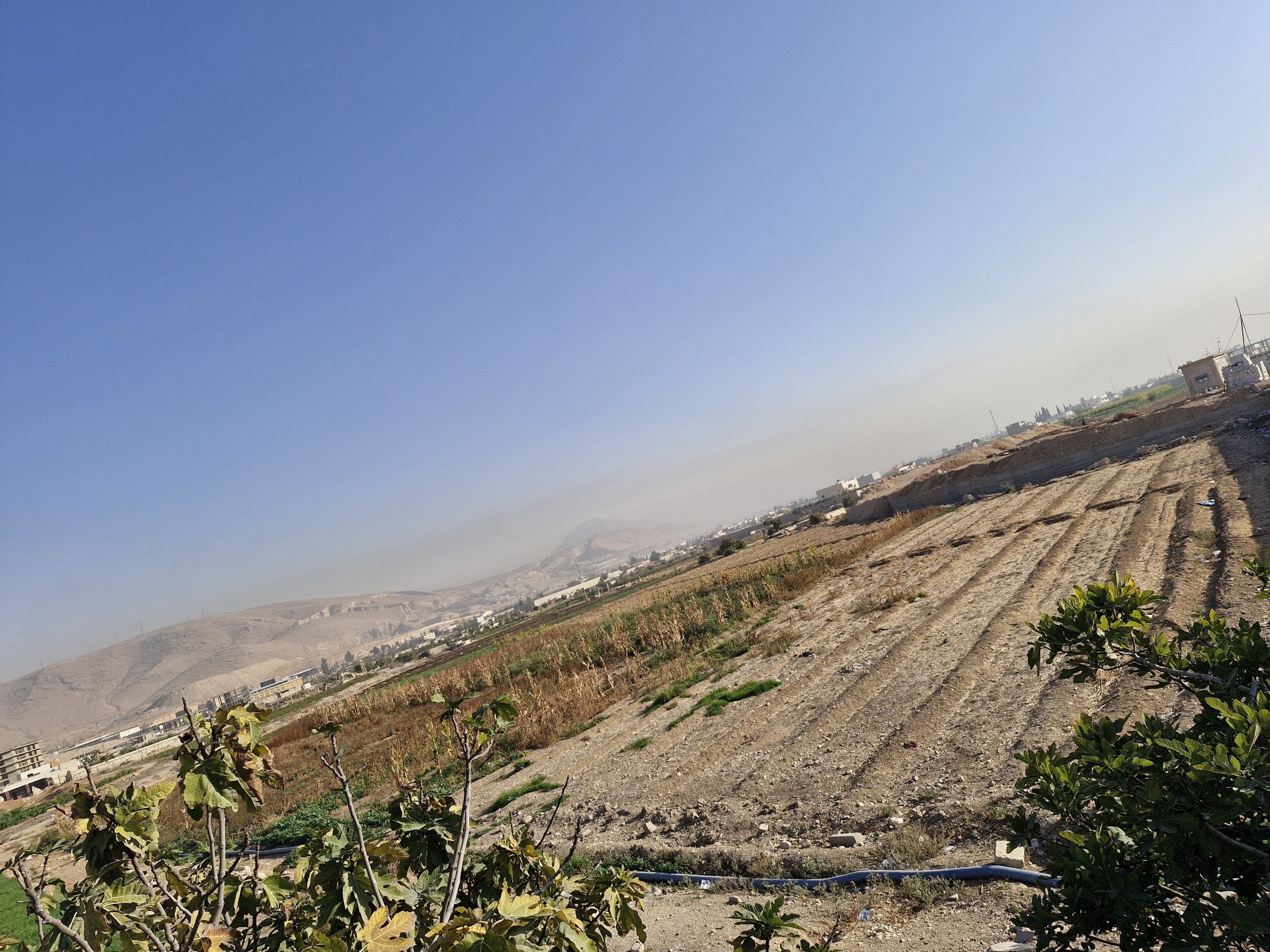 أرض للبيع في المزرعة